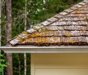 Dangers of Clogged Gutters