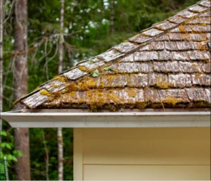 Moss-covered roof and neglected gutter system showing signs of poor drainage that can contribute to foundation damage and structural issues.