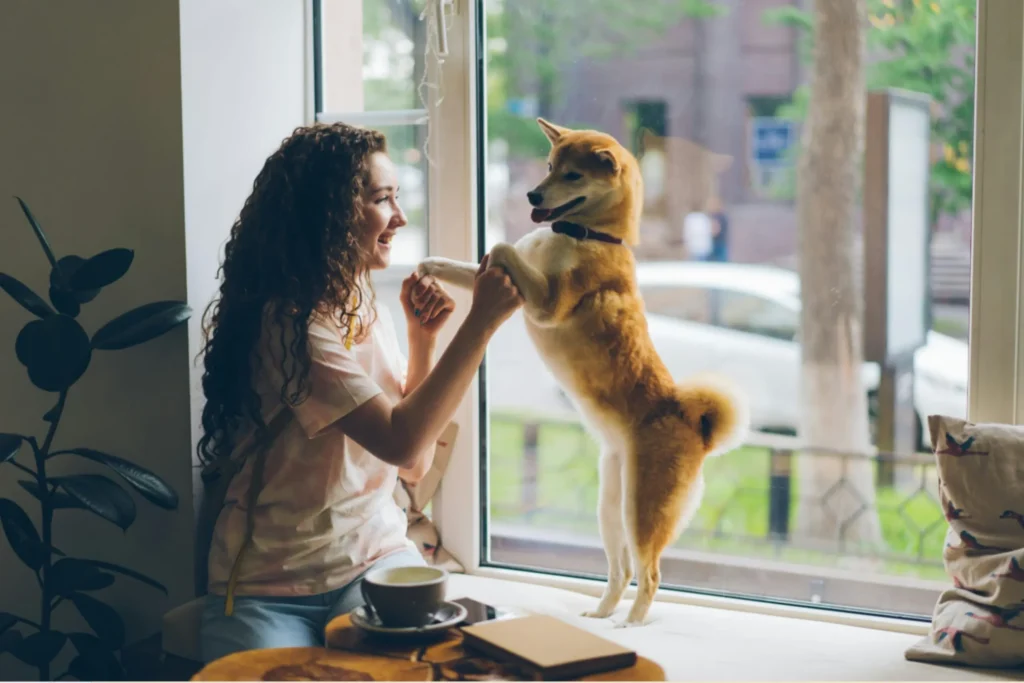 A woman sitting by a bright window playing with her Shiba Inu dog, demonstrating how to maximize natural light in your home with the right windows.