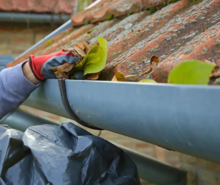 Hand removing leaves and organic debris from an eavestrough using eco-friendly gutter cleaning methods to maintain proper drainage.