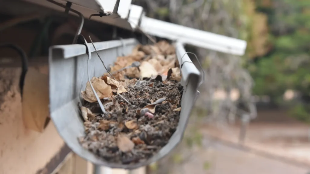 Close-up view down an open residential eavestrough packed with dried leaves, dirt, and organic debris requiring preparation for cleaning in Toronto.