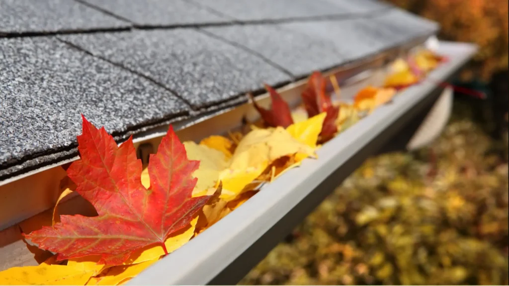 Close-up of a residential roof eavestrough filled with colourful autumn leaves in Toronto, showing a gutter that needs preparing for cleaning.