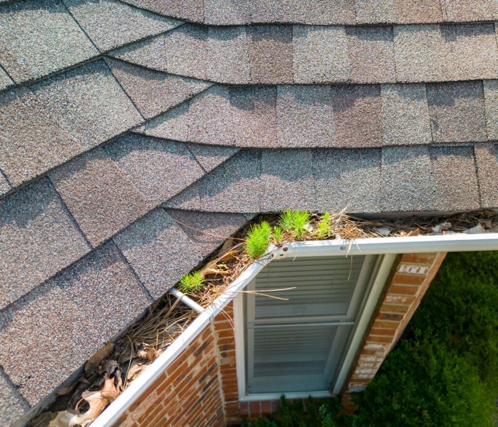 Dangers of Clogged Gutters