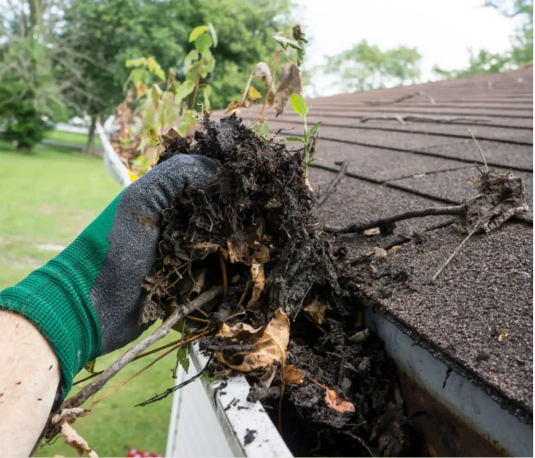 Hand removing heavy debris, leaves, and plant growth from a clogged residential gutter during seasonal gutter maintenance.