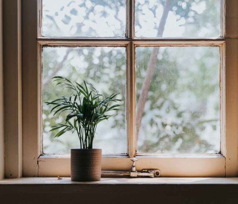 Natural light coming through a residential window with a potted plant on the windowsill.