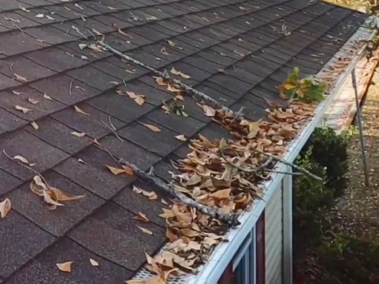 Clogged residential gutter filled with leaves and debris along a roof edge