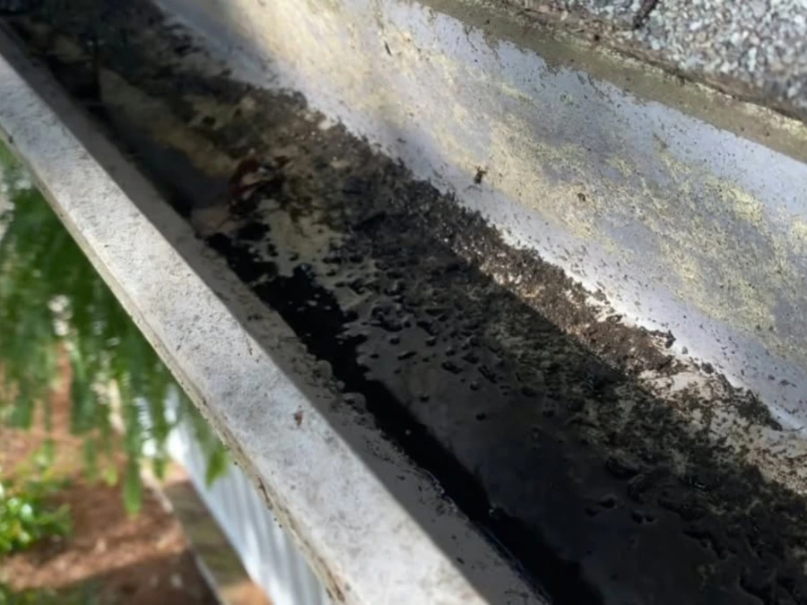 Clogged eavestrough with organic buildup requiring cleaning in Toronto